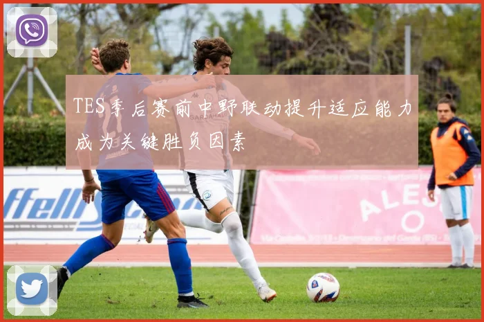 TES季后赛前中野联动提升适应能力成为关键胜负因素