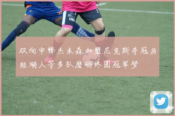 双向中锋杰米森加盟尼克斯夺冠历经湖人等多队磨砺终圆冠军梦