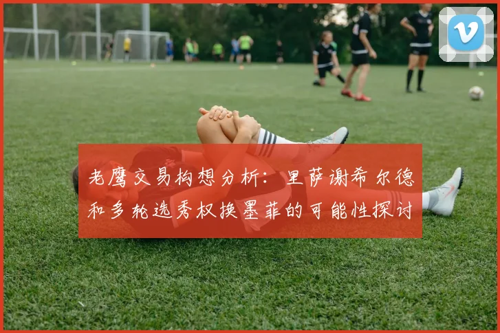 老鹰交易构想分析：里萨谢希尔德和多轮选秀权换墨菲的可能性探讨