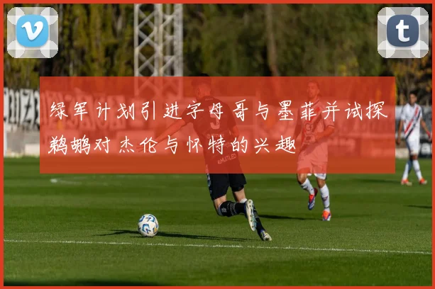 绿军计划引进字母哥与墨菲并试探鹈鹕对杰伦与怀特的兴趣